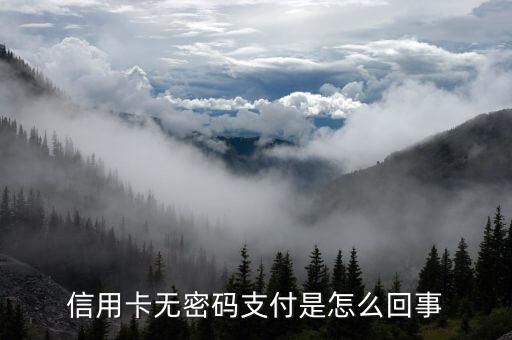 信用卡無密碼支付是怎么回事