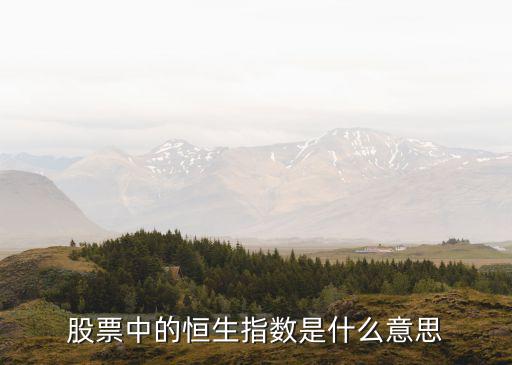 恒生指數(shù)屬于什么，恒生指數(shù)期貨的定義是什么