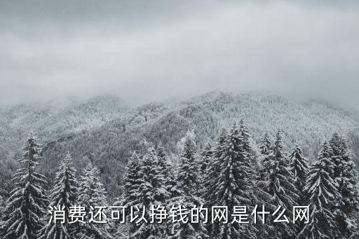 消費還可以掙錢的網是什么網