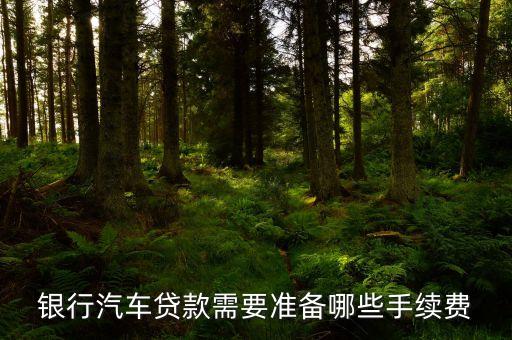 車貸放款需要什么手續(xù)費嗎，貸款買車銀行要收手續(xù)費嗎