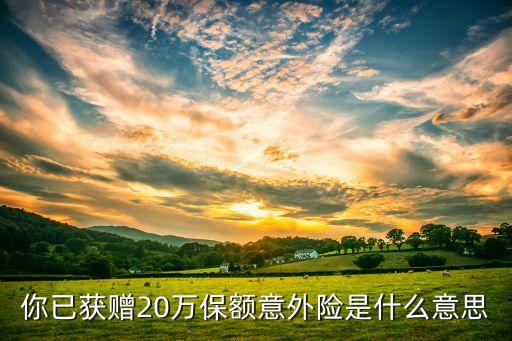 保額意外險(xiǎn)是什么意思，團(tuán)險(xiǎn) 中的累計(jì)意外險(xiǎn)保額 是什么意思