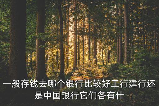 銀行什么銀行好用點，存錢存在什么銀行最好