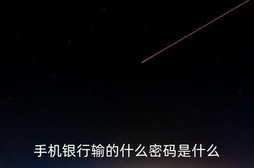 手機銀行輸?shù)氖裁疵艽a是什么