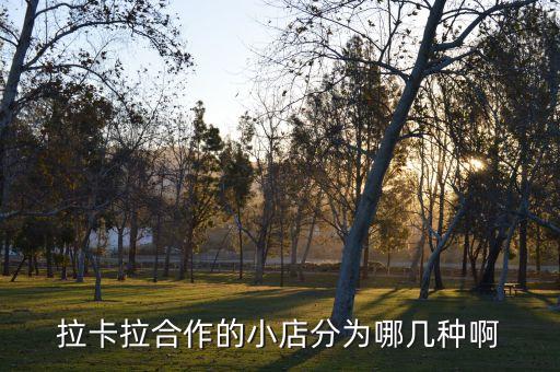 拉卡拉合作的小店分為哪幾種啊