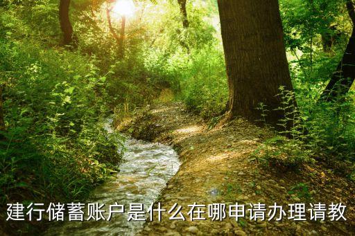 建行儲(chǔ)蓄賬戶是什么在哪申請(qǐng)辦理請(qǐng)教
