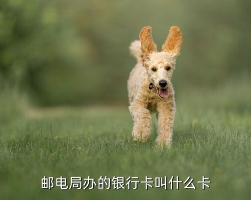 郵政銀行卡又稱什么卡，郵政銀行卡又叫什么銀行卡