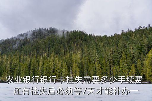 農(nóng)業(yè)銀行銀行卡掛失需要多少手續(xù)費 還有掛失后必須等7天才能補辦一