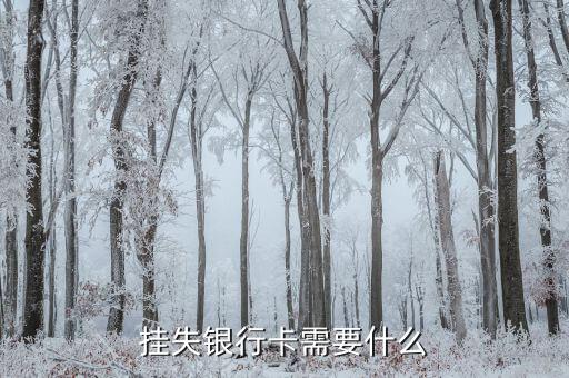 掛失銀行卡需要什么