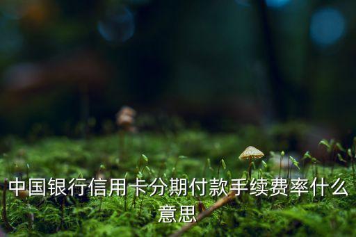 中國(guó)銀行信用卡分期付款手續(xù)費(fèi)率什么意思