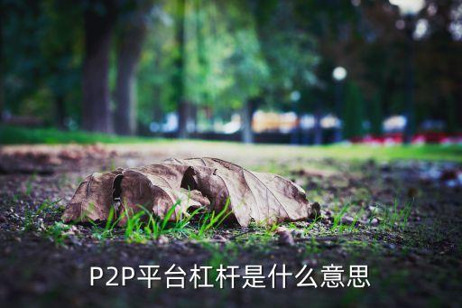 p2p杠桿是什么，眾籌融資杠杠P2P四個(gè)是什么意思是一樣的意思還是有點(diǎn)卻