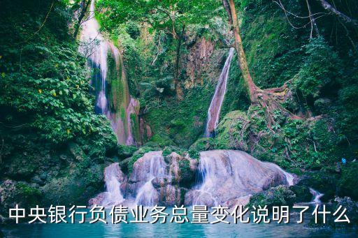中央銀行負(fù)債業(yè)務(wù)總量變化說明了什么
