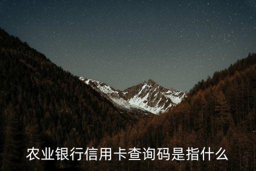 信用卡發(fā)查詢碼是什么意思，農(nóng)業(yè)銀行信用卡查詢碼是指什么