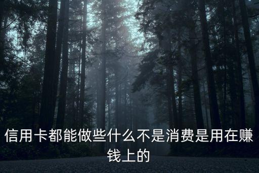 信用卡都能做些什么不是消費(fèi)是用在賺錢上的