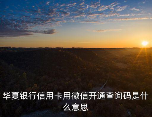 華夏銀行信用卡用微信開(kāi)通查詢(xún)碼是什么意思