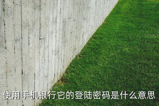 使用手機銀行它的登陸密碼是什么意思