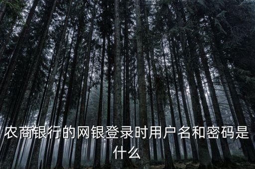 福建農信登入名是什么，農商銀行的網(wǎng)銀登錄時用戶名和密碼是什么