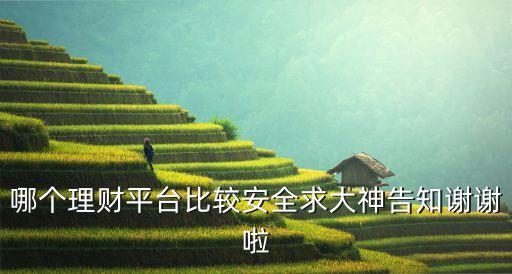 什么平臺(tái)理財(cái)安全性，哪個(gè)理財(cái)平臺(tái)比較安全啊