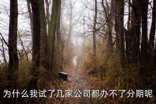 為什么我試了幾家公司都辦不了分期呢