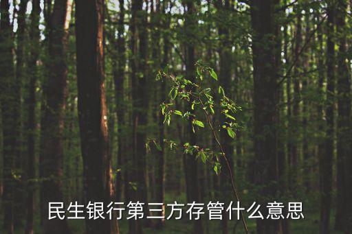民生銀行第三方存管什么意思