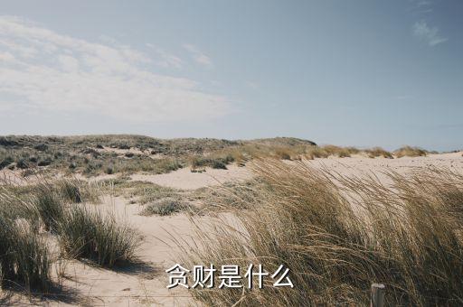 貪財(cái)是什么