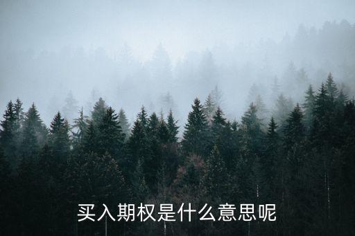 買入期權是什么意思呢