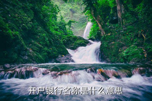 開戶銀行名稱是什么意思