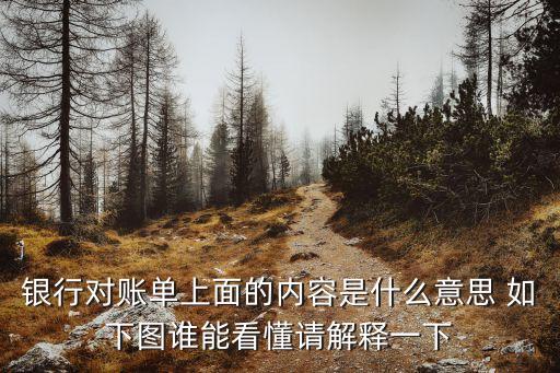 銀行對(duì)賬單上面的內(nèi)容是什么意思 如下圖誰(shuí)能看懂請(qǐng)解釋一下