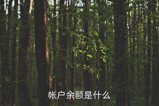 帳戶余額是什么