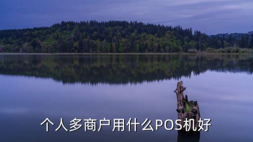 個(gè)人多商戶用什么POS機(jī)好