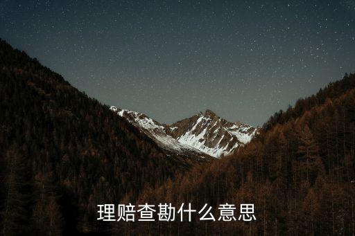 自助查勘什么意思，理賠查勘什么意思