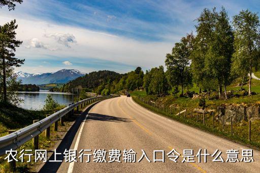 農(nóng)行網(wǎng)上銀行繳費(fèi)輸入口令是什么意思