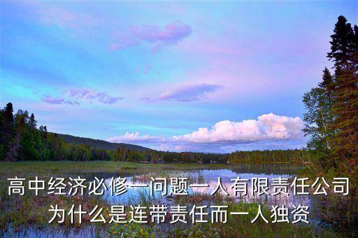 高中經(jīng)濟(jì)必修一問題一人有限責(zé)任公司為什么是連帶責(zé)任而一人獨(dú)資