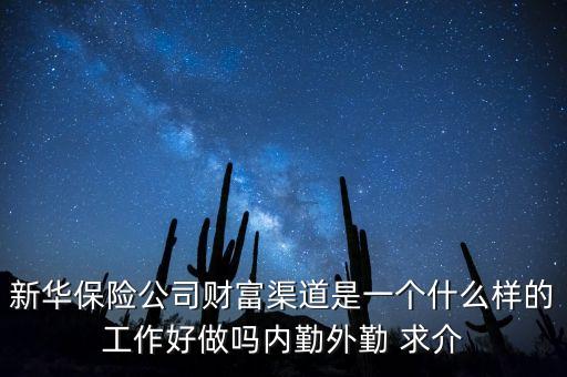 新華保險(xiǎn)公司財(cái)富渠道是一個(gè)什么樣的工作好做嗎內(nèi)勤外勤 求介