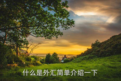 什么是外匯簡單介紹一下