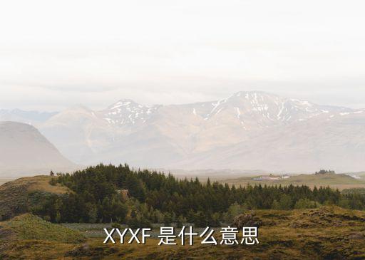 XYXF 是什么意思