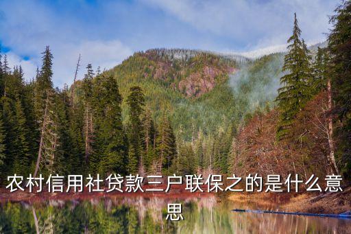 農(nóng)村信用社貸款三戶聯(lián)保之的是什么意思