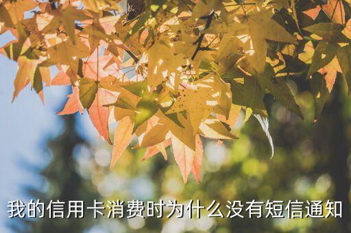 我的信用卡消費時為什么沒有短信通知