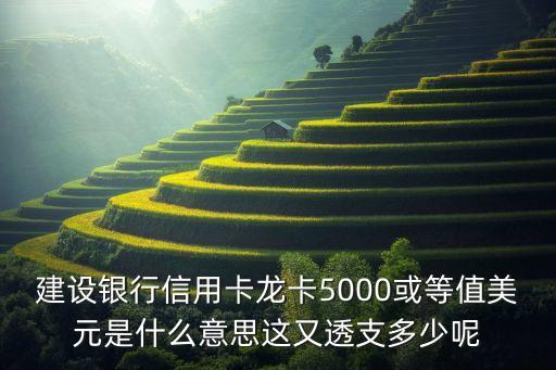建設(shè)銀行信用卡龍卡5000或等值美元是什么意思這又透支多少呢