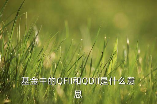 qdii基金 什么意思，什么是QDIII基金