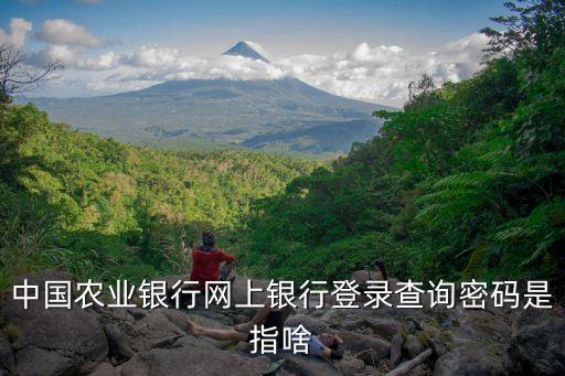 什么是查詢版手機銀行卡密碼是什么，6位數(shù)字查詢密碼是什么