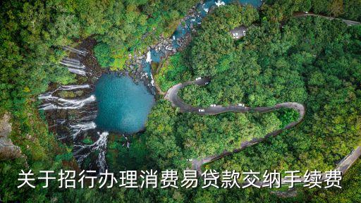 關(guān)于招行辦理消費(fèi)易貸款交納手續(xù)費(fèi)