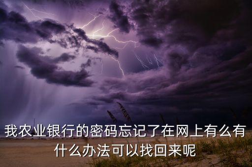 我農(nóng)業(yè)銀行的密碼忘記了在網(wǎng)上有么有什么辦法可以找回來(lái)呢