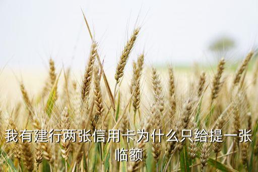 為什么只給提臨時(shí)額度，我有建行兩張信用卡為什么只給提一張臨額