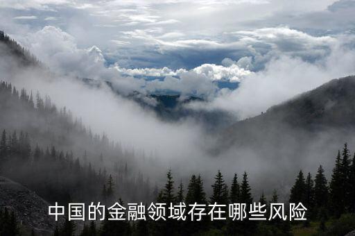中國的金融領域存在哪些風險