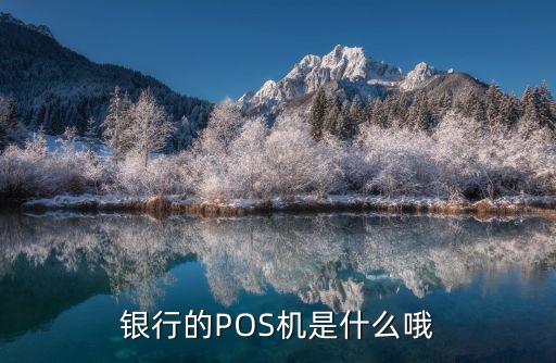 銀行的POS機(jī)是什么哦