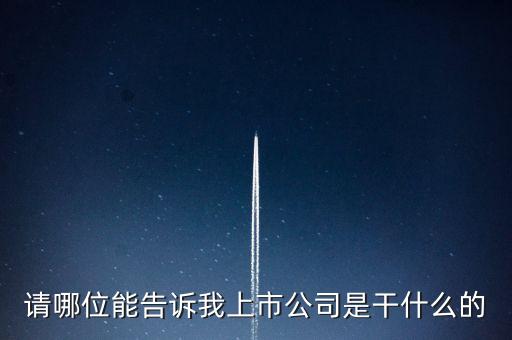 請哪位能告訴我上市公司是干什么的