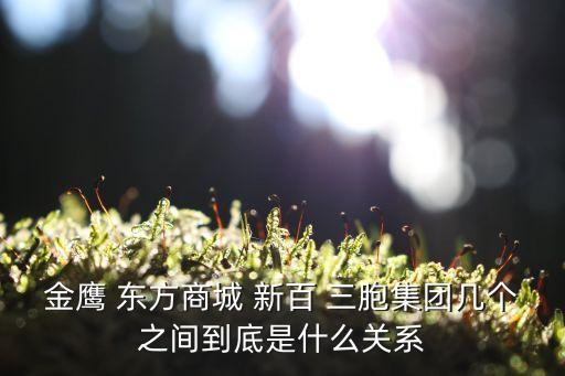 金鷹商城是什么性質(zhì)的，泰州金鷹國(guó)際購(gòu)物中心是屬于什么企業(yè)