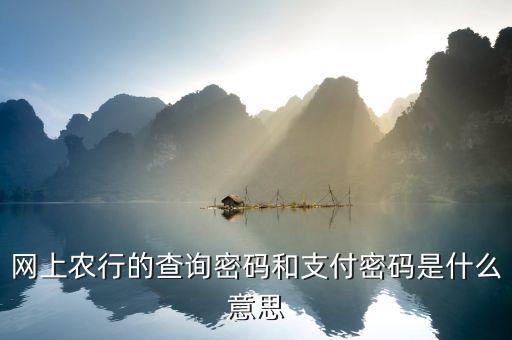 網(wǎng)上農(nóng)行的查詢密碼和支付密碼是什么意思