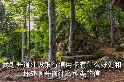 我想開通建設(shè)銀行信用卡有什么好處和壞處啊開通什么種類的信