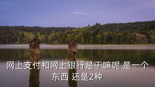 網(wǎng)上支付和網(wǎng)上銀行是干嘛呢 是一個(gè)東西 還是2種